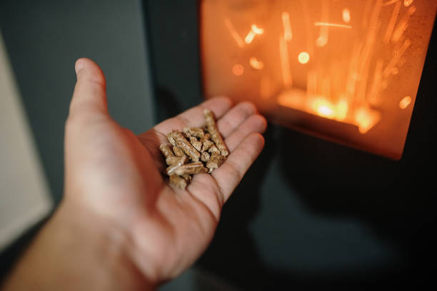 Cómo Calentar tu Casa Cuidando el Medio Ambiente